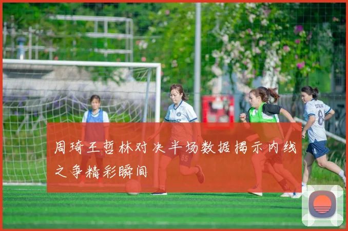周琦王哲林对决半场数据揭示内线之争精彩瞬间